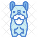 پیش‌نمایش فایل french-bulldog-7147590 از پک نژاد سگ
