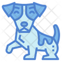 پیش‌نمایش فایل jack-russell-7147594 از پک نژاد سگ