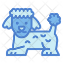 پیش‌نمایش فایل poodle-7147600 از پک نژاد سگ