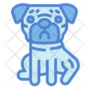 پیش‌نمایش فایل pug-7147601 از پک نژاد سگ