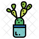 پیش‌نمایش فایل cactus-7147970 از پک کاکتوس