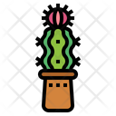 پیش‌نمایش فایل cactus-7147971 از پک کاکتوس