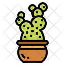پیش‌نمایش فایل cactus-7147973 از پک کاکتوس