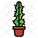پیش‌نمایش فایل cactus-7147975 از پک کاکتوس