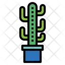 پیش‌نمایش فایل cactus-7147977 از پک کاکتوس