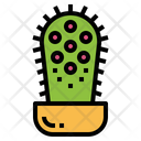 پیش‌نمایش فایل cactus-7147978 از پک کاکتوس