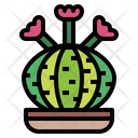پیش‌نمایش فایل cactus-7147979 از پک کاکتوس