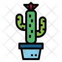 پیش‌نمایش فایل cactus-7147980 از پک کاکتوس