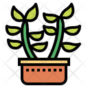 پیش‌نمایش فایل cactus-7147987 از پک کاکتوس