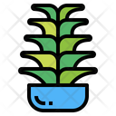 پیش‌نمایش فایل cactus-7147988 از پک کاکتوس