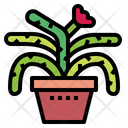 پیش‌نمایش فایل cactus-7147989 از پک کاکتوس
