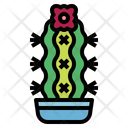 پیش‌نمایش فایل cactus-7147991 از پک کاکتوس