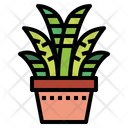 پیش‌نمایش فایل cactus-7147993 از پک کاکتوس