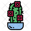 پیش‌نمایش فایل cactus-7147994 از پک کاکتوس