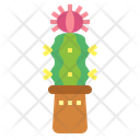 پیش‌نمایش فایل cactus-7148043 از پک کاکتوس