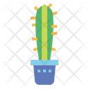 پیش‌نمایش فایل cactus-7148046 از پک کاکتوس