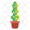 پیش‌نمایش فایل cactus-7148047 از پک کاکتوس