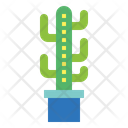 پیش‌نمایش فایل cactus-7148049 از پک کاکتوس