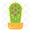 پیش‌نمایش فایل cactus-7148050 از پک کاکتوس