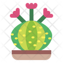 پیش‌نمایش فایل cactus-7148051 از پک کاکتوس