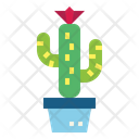پیش‌نمایش فایل cactus-7148052 از پک کاکتوس