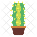 پیش‌نمایش فایل cactus-7148054 از پک کاکتوس