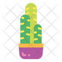 پیش‌نمایش فایل cactus-7148055 از پک کاکتوس