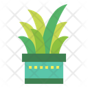 پیش‌نمایش فایل cactus-7148056 از پک کاکتوس