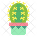 پیش‌نمایش فایل cactus-7148057 از پک کاکتوس