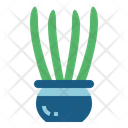 پیش‌نمایش فایل cactus-7148058 از پک کاکتوس