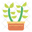 پیش‌نمایش فایل cactus-7148059 از پک کاکتوس