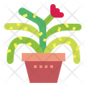 پیش‌نمایش فایل cactus-7148061 از پک کاکتوس
