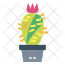 پیش‌نمایش فایل cactus-7148062 از پک کاکتوس