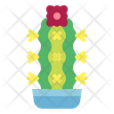 پیش‌نمایش فایل cactus-7148063 از پک کاکتوس
