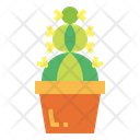 پیش‌نمایش فایل cactus-7148064 از پک کاکتوس