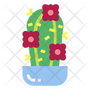 پیش‌نمایش فایل cactus-7148066 از پک کاکتوس
