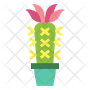 پیش‌نمایش فایل cactus-7148068 از پک کاکتوس