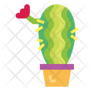 پیش‌نمایش فایل cactus-7148069 از پک کاکتوس