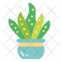 پیش‌نمایش فایل cactus-7148070 از پک کاکتوس