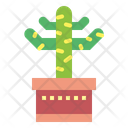 پیش‌نمایش فایل cactus-7148076 از پک کاکتوس