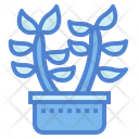 پیش‌نمایش فایل cactus-7148095 از پک کاکتوس