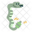 پیش‌نمایش فایل snake-7149602 از پک مار