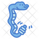 پیش‌نمایش فایل snake-7149638 از پک مار