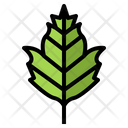 پیش‌نمایش فایل leaves-7150447 از پک مرخصی