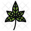 پیش‌نمایش فایل leaves-7150450 از پک مرخصی