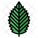 پیش‌نمایش فایل leaves-7150453 از پک مرخصی