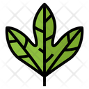 پیش‌نمایش فایل leaves-7150460 از پک مرخصی