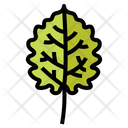 پیش‌نمایش فایل leaves-7150464 از پک مرخصی