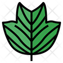 پیش‌نمایش فایل leaves-7150467 از پک مرخصی