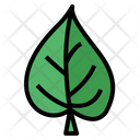 پیش‌نمایش فایل leaves-7150469 از پک مرخصی